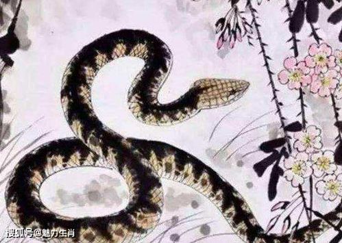 研究方法与资料来源