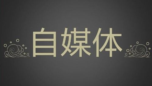 七、 自媒体平台平台上的个人叙事及公众反馈