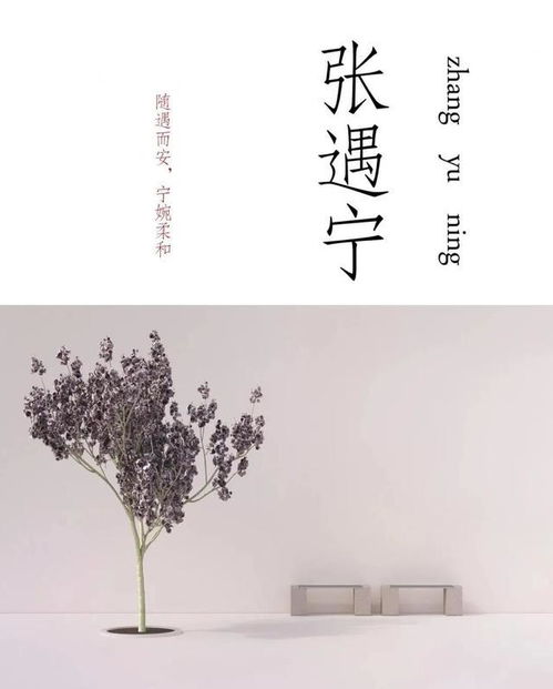 三、诗词典故：文化底蕴底蕴的体现
