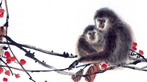 2026年1月属猴人搬家吉日具体是哪几天？