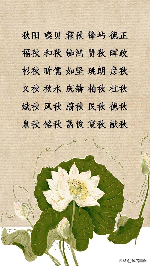 1.2 生僻字滥用：让老师抓狂
