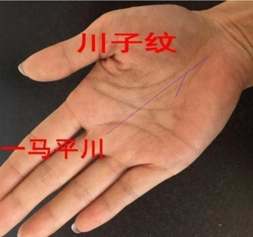 苗人谷算手相，一马平川的手相特征有哪些？