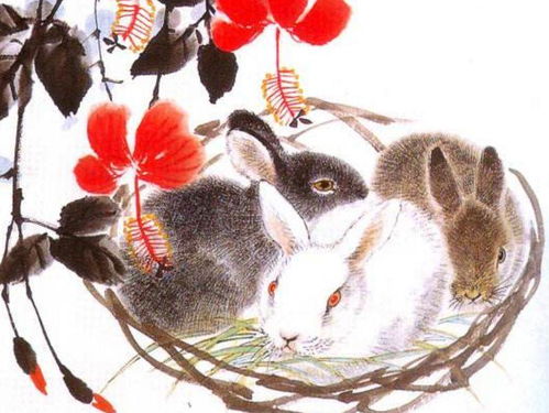 1975年属兔男性在2026年运势如何？吉凶分析？