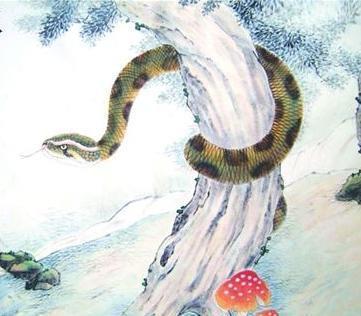 属蛇辰时出生是什么命？属蛇命中劫难年会是哪一年？