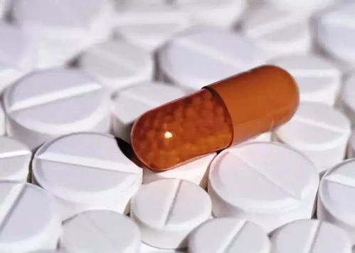 ：生命伦理与未成形生命的思辨