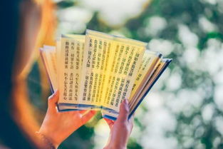 文献实践：传统“桑淤作文”的结构与意蕴