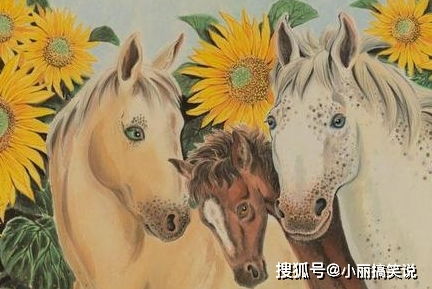 花心大萝卜：属马人