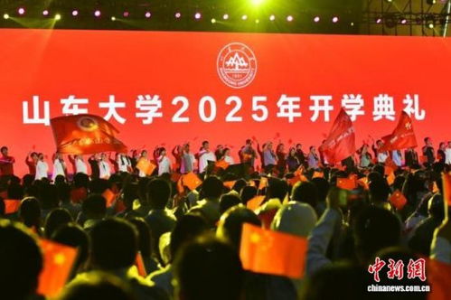 四、实用提议与备选方案