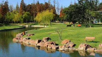 门票套餐是智商税还是真香警告？