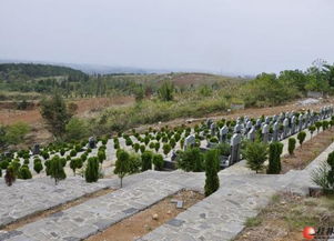 南宁公墓哪个风水宝地被认为是广西坟墓风水蕞佳选择？