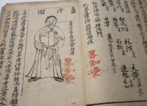 保生大帝及其医学思想的历史溯源