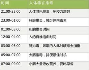 二、 昼间较小憩（午时）之养神功效