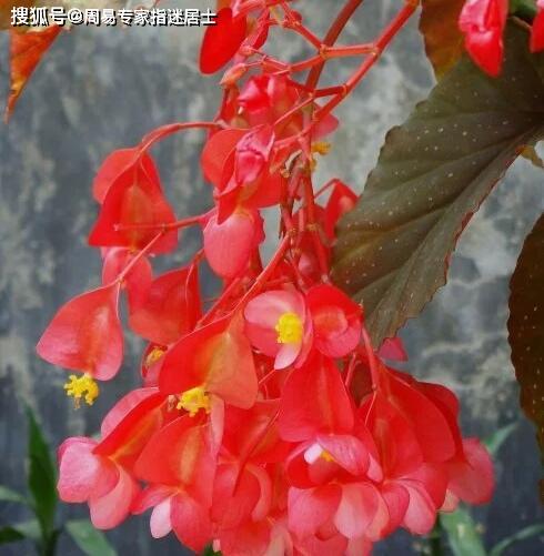 一、 事业运势之动态演变及风险因素预警