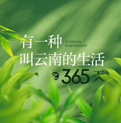 四、  数字媒介中的集体共鸣：社交媒体数据中的“感恩相遇”与能量场