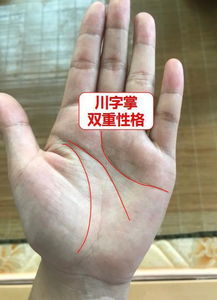 看手相易经，是看左手还是右手来判断命运？