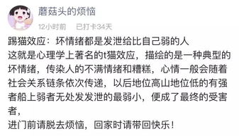 ：婆媳关系作为家庭社会学核心议题的复杂性分析