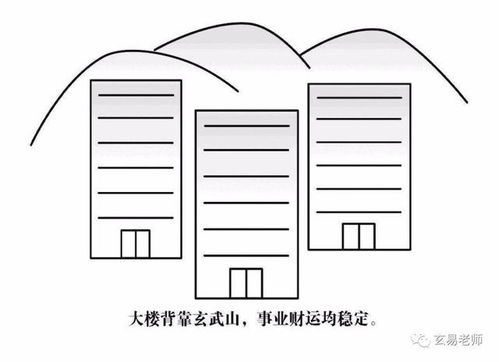 三、 树木植被与宅基相互影响之原则