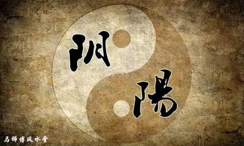 ② 生肖命理视角：十二星辰与幽灵频率的不匹配性