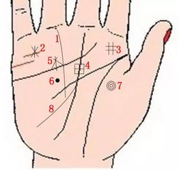 手相公印纹是什么样子的？请展示手中有公印纹的图片实例。