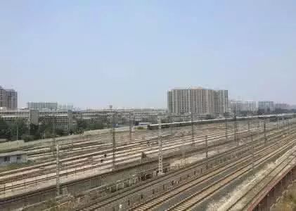 （三）竹类植物的风水效用