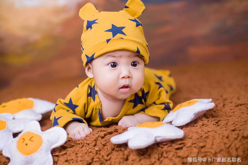 属兔宝宝大气男孩名字有哪些？