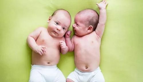 第二章：根据猴子的习性来瞎琢磨……哦不 是精心构思小名