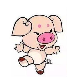 属相猪丁卯日出生的人命运如何？生肖猪2026年详解是什么意思？