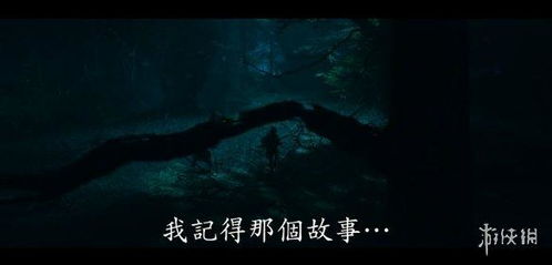 ：时间段、 命运与叙事的边界
