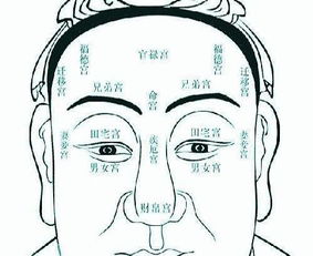 四、 居住风水与空间布局对个人运势的外部调节