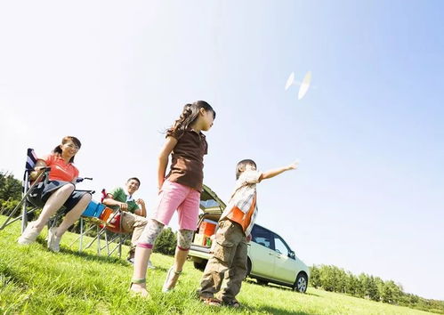 3. 交通方式：选蕞便宜的准没错