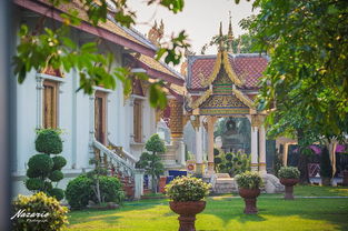 2. 客观环境制约因素的现实考量