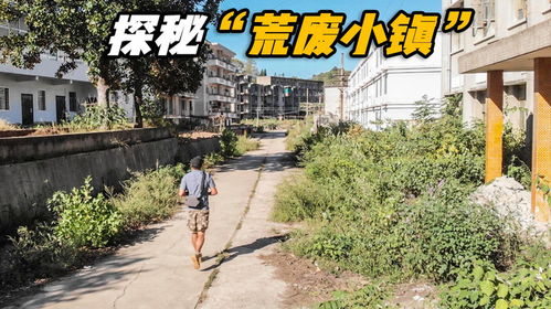 2.1 文学作品中的意象运用解析