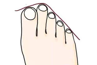 女命八字和男命有区别吗？八字贵命和富命有何不同？