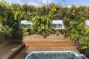 大门顶上长草对风水有影响吗？