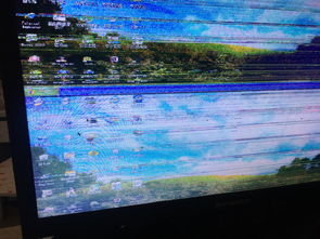 概论：电脑屏幕频繁闪烁的现象及其研究意义