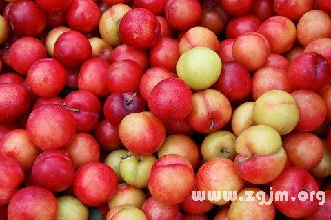 青涩李子梦：一场酸掉牙的预警