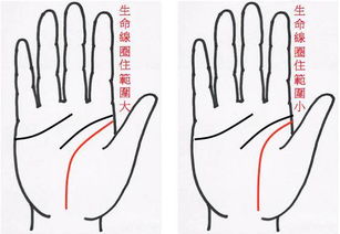 1. 中指长度与权力欲望的驱动作用