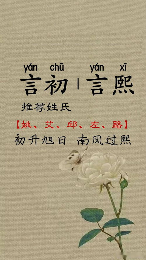 了解姓氏文化底蕴