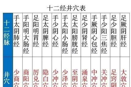 ：平受脉概念的学术实际价值与探究背景