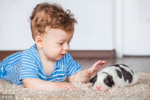 1. 佳字的基本属性（随便写点）