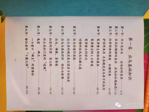 ：个体经验与普遍困境