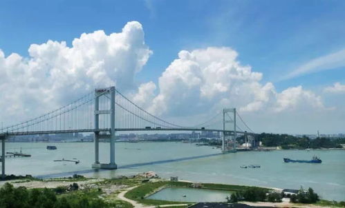 票价波动大得像过山车