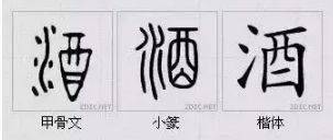 六、不完美之美：命名也是一种实验室实验。