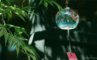 现代家居设计中的应用