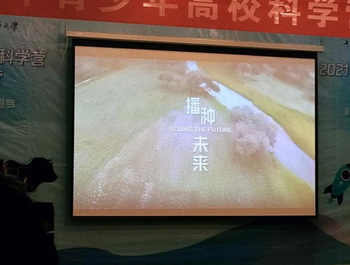 3. 客厅摆设——防止“穿堂风”对居家气场的侵扰