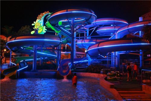 2026年星座运势加持版夜场指南