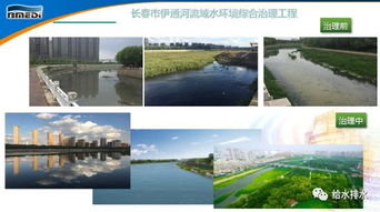 案例分析：西南部和谐森林恢复实践