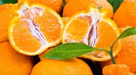 3. 湿度管理：防止失水与变质