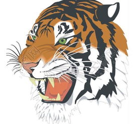 虎宝宝小尾巴一字取名推荐，能否提供一份取名大全？