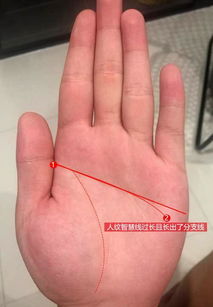 一、断掌手相的起源与传统方式观念
